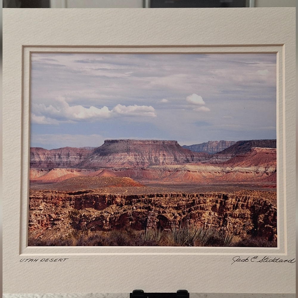 NWT - Utah Desert Landscape By Jack E. Stiddard 8x10 On 11x14 Matte